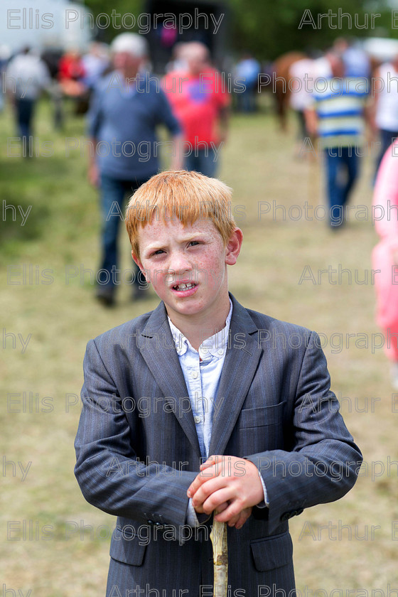 Spancilhill-11 
 230615
9 year old Martin McCarthy, Cork, during the 2015 Spancilhill Horse Fair.Pic Arthur Ellis.