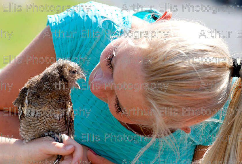 Regatta 18 
 200713
Martha Sherin,Ennis, meets a little owl at the Clarecastle Regatta on Saturday.Pic Arthur Ellis.