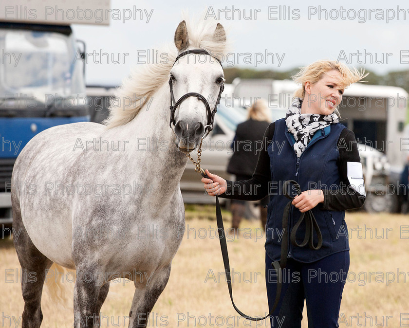 Horse-show-16 
 040715
Marie Shallis, Kilmihill, and Rockhill Danny enjoying the summer breeze during the West Clare Horse Show in Tullabrack on Saturday.Pic Arthur Ellis.